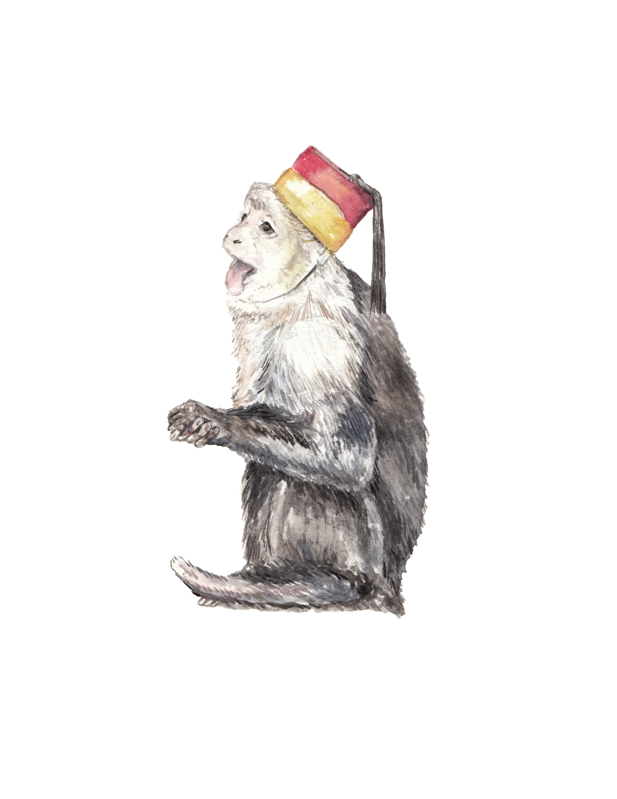 Silly Monkey in Fez Hat Limited Edition 