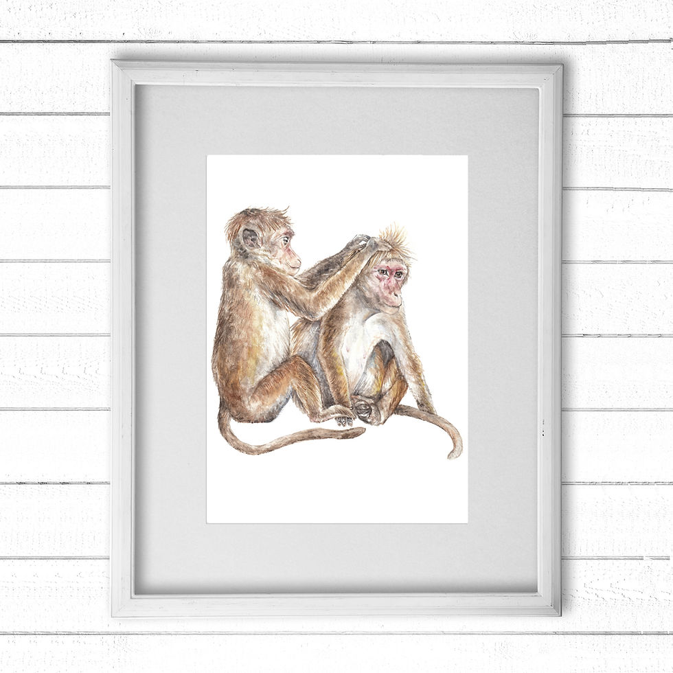 Thumbnail: Cute Grooming / Hugging Monkeys Ltd Edition Print 8.5x11