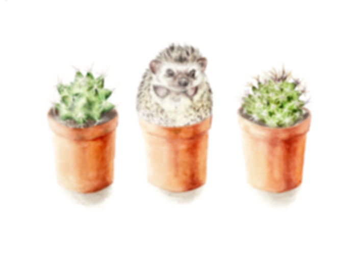 Hedgehog Cactus Limited Edition Print 8.5x11 Watercolor