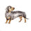 Thumbnail: Doxie Smooth Coat Black and Tan Dachshund Ltd Ed Print Wate