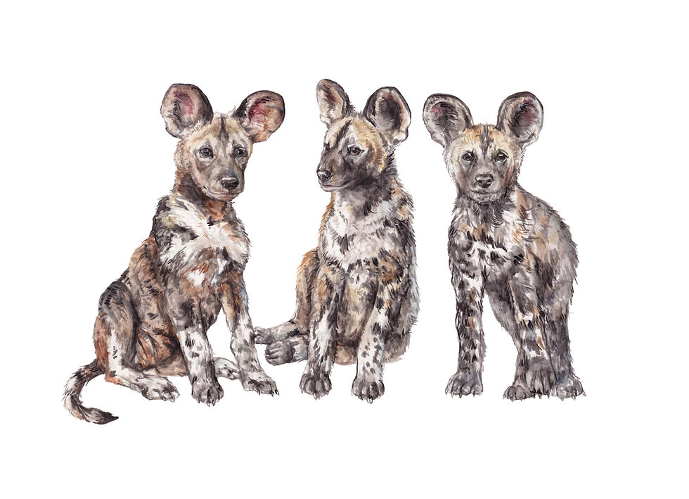 African Wild Dogs 8.5x11 Watercolor Cute Safari Animal Painting