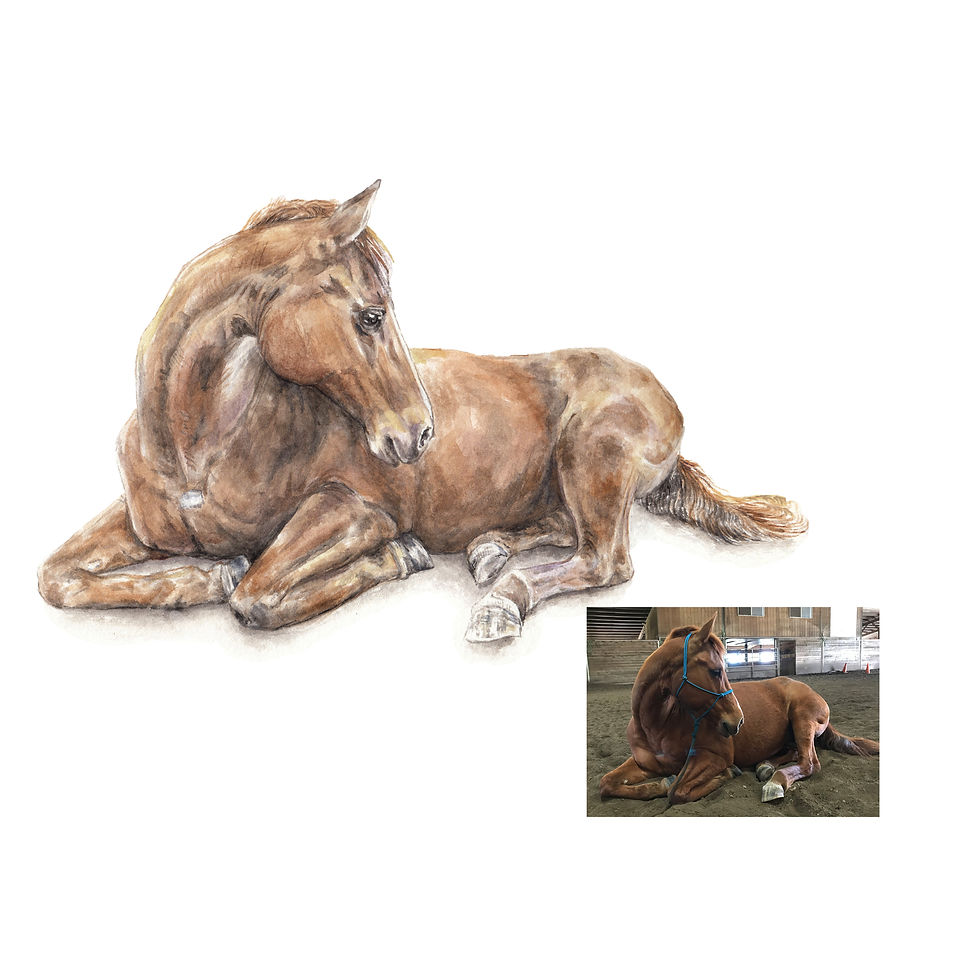 Thumbnail: CUSTOM Watercolor Pet Portrait Original Painting