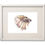 Thumbnail: Betta Fish 8.5 x 11 Watercolor: You choose from 4 designs