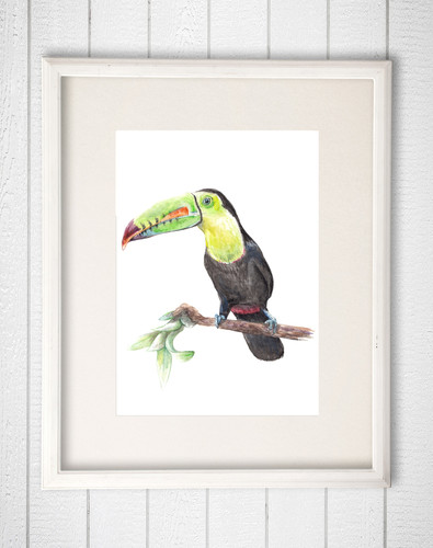 日本未入荷-2サイズ♪タペストリーアート - Keel Billed Toucan file.jpg