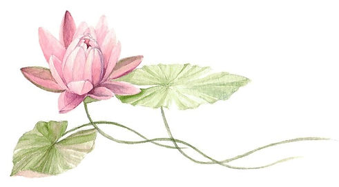 Lotus.Meaning.jpg