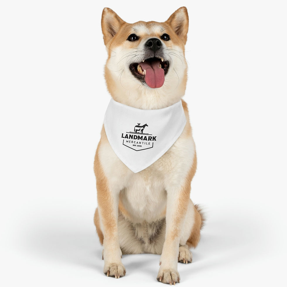 Thumbnail: Landmark Pet Bandana Collar