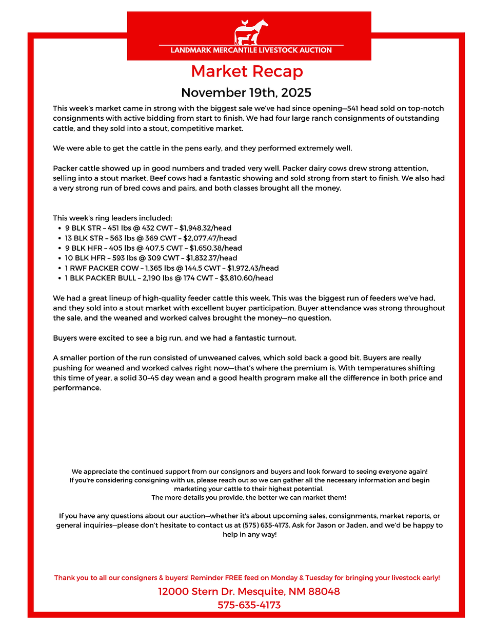 Market Report recap 11.19.25.png