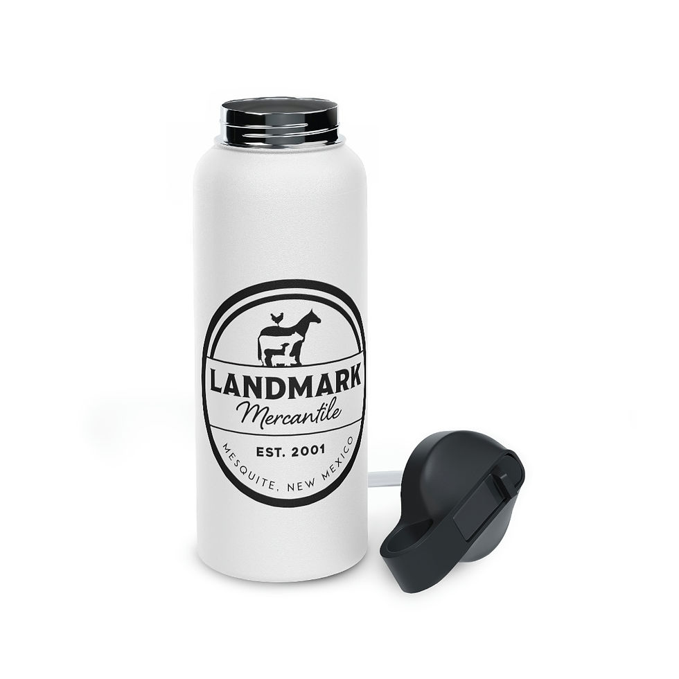 Thumbnail: Landmark Stainless Steel Water Bottle, Standard Lid