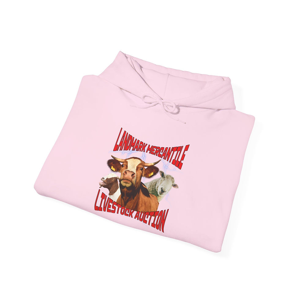 Thumbnail: Auction Hooded Sweatshirt Red Lettering