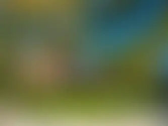 The Best Beachfront Boutique Hotels in Tulum