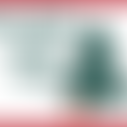 Carers News December 2024