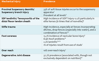 Cross-country... what are the risks?