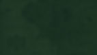 testa.jpg