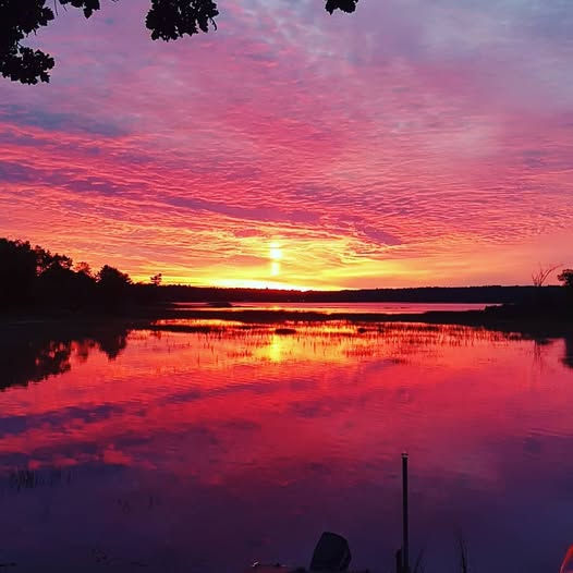 Sue-Davis-McPhaden-Scenery-Lake on fire.jpg