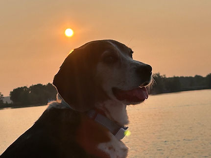 Kathryn-Atkinson-Wildlife-Buddy Mugging for the Camera 2.jpg