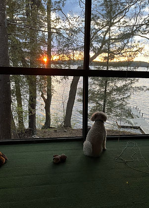 Ann-McCarthy-Scenery-Lake Guardian.jpg