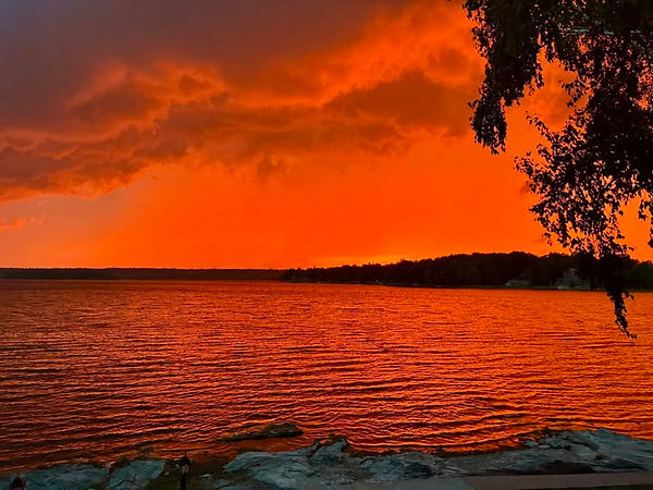 Sharon-Abraham-Scenery-Seeing Red.jpg