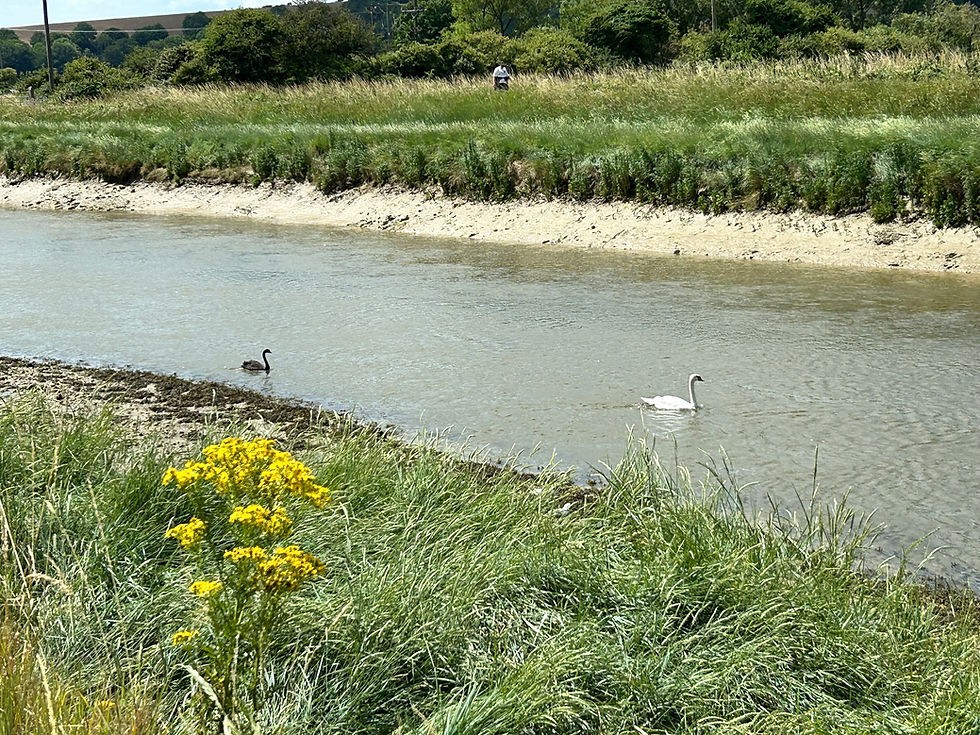 Shoreham circular: unexpected Sussex gems