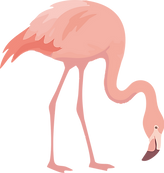 Flamingo.png