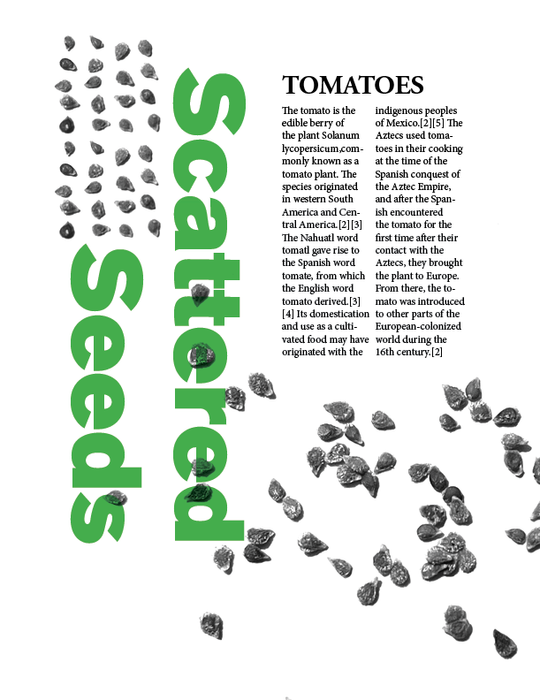 Scattered Seeds2.png