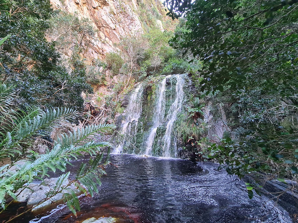 Leopards Kloof Wasserfall Garden Route
