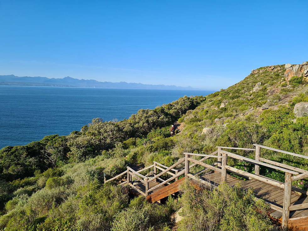 Robberg Nature Reserve Plettenberg Bay