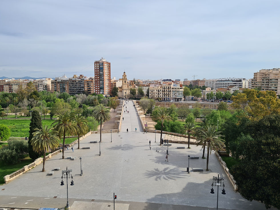 Aussicht vom Torres de Serranos