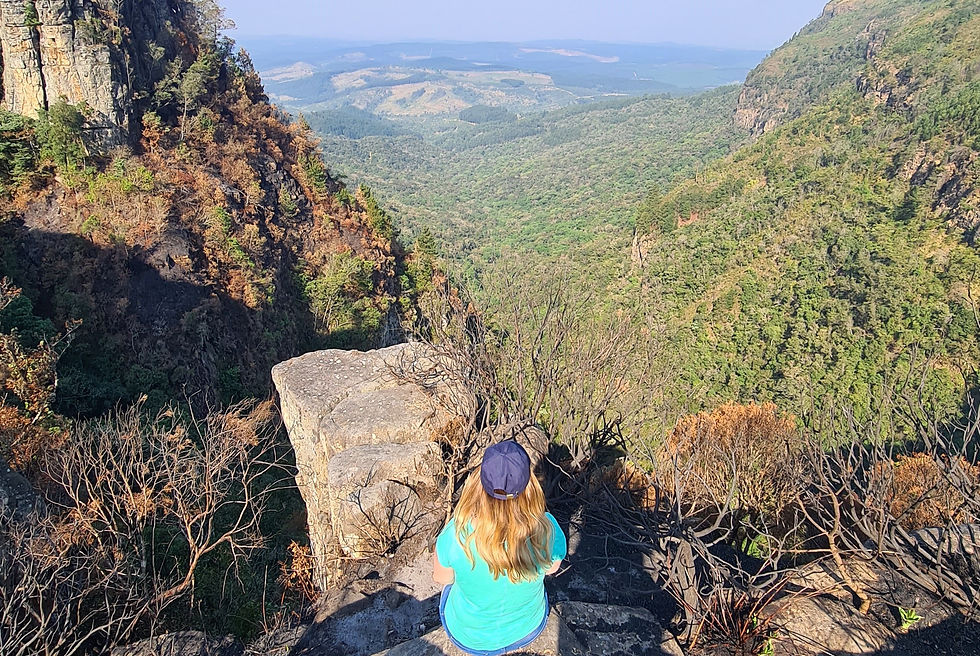 Aussicht Pinnacle Rock Panorama Route