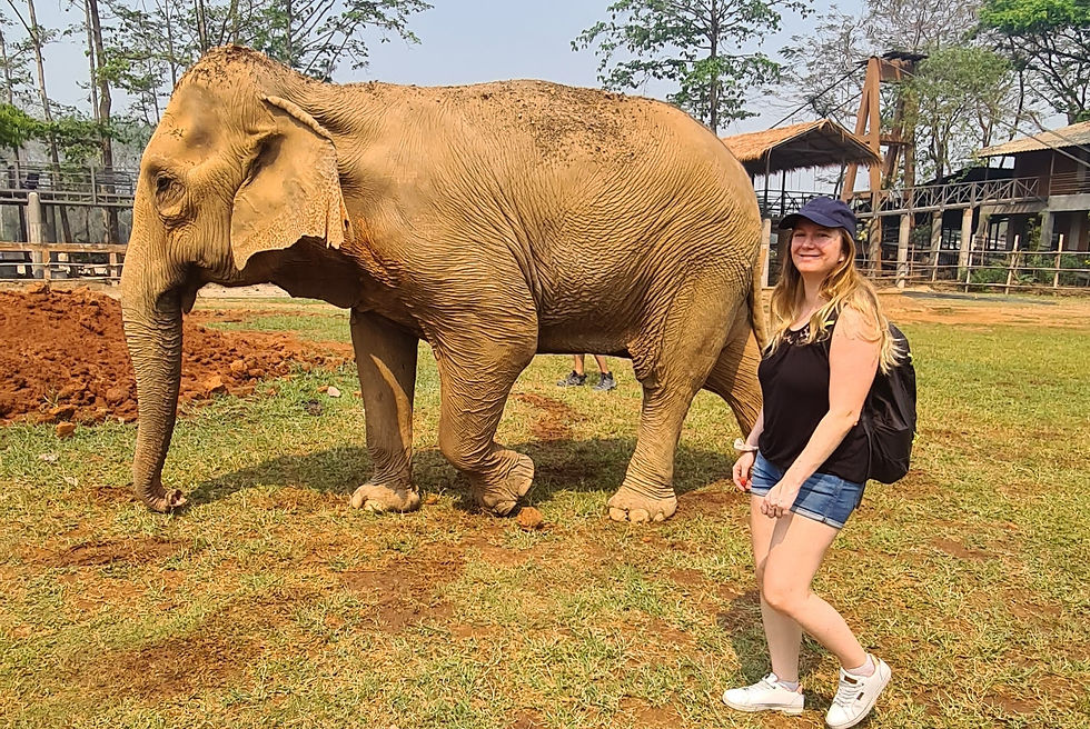 Elephant Nature Park Chiang Mai