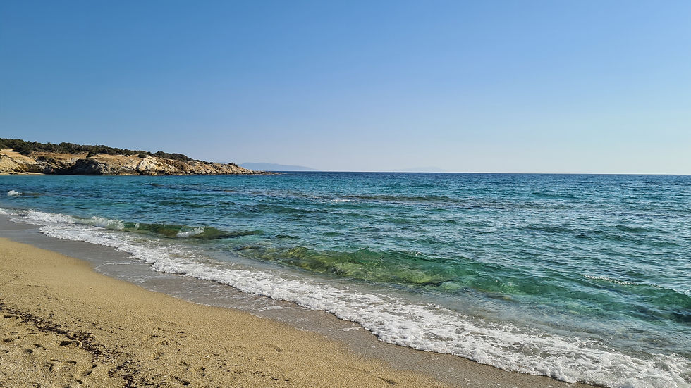 Hawaii Beach Naxos