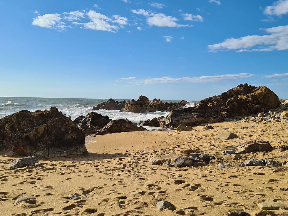 Ingleses Beach Porto