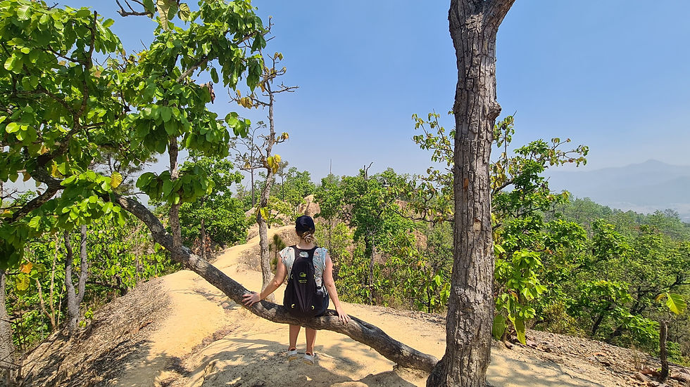Pai Canyon