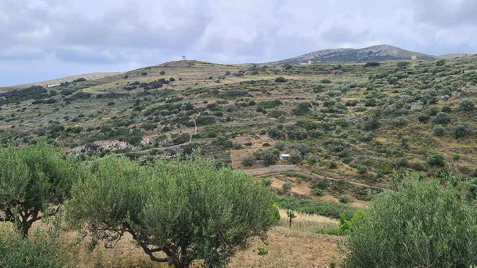 Lefkes Paros