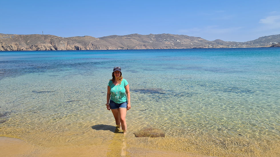 Agios Sostis Beach Mykonos