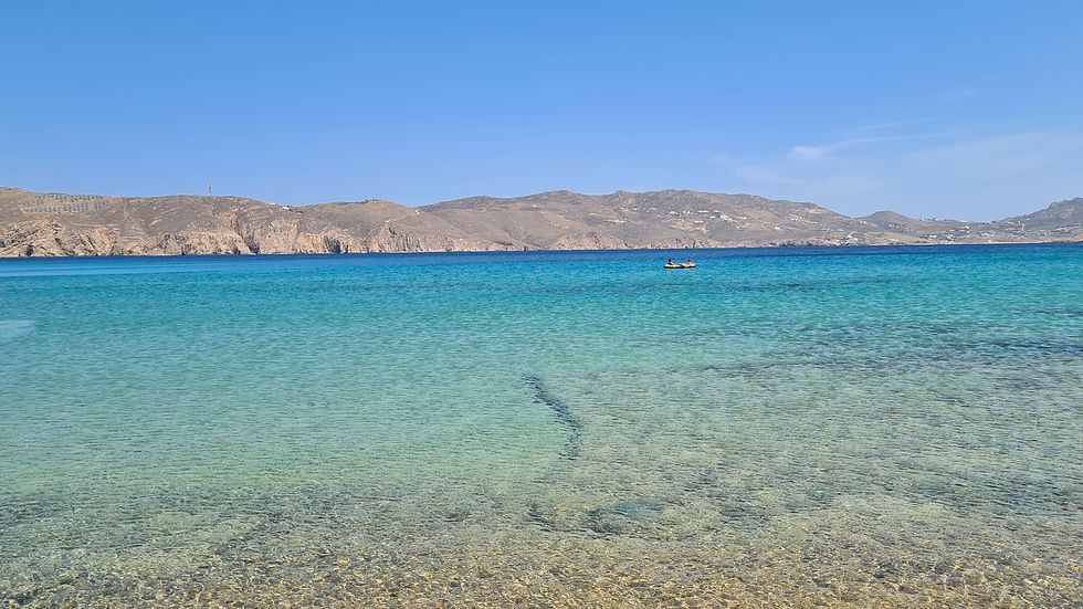 Agios Sostis Beach Mykonos