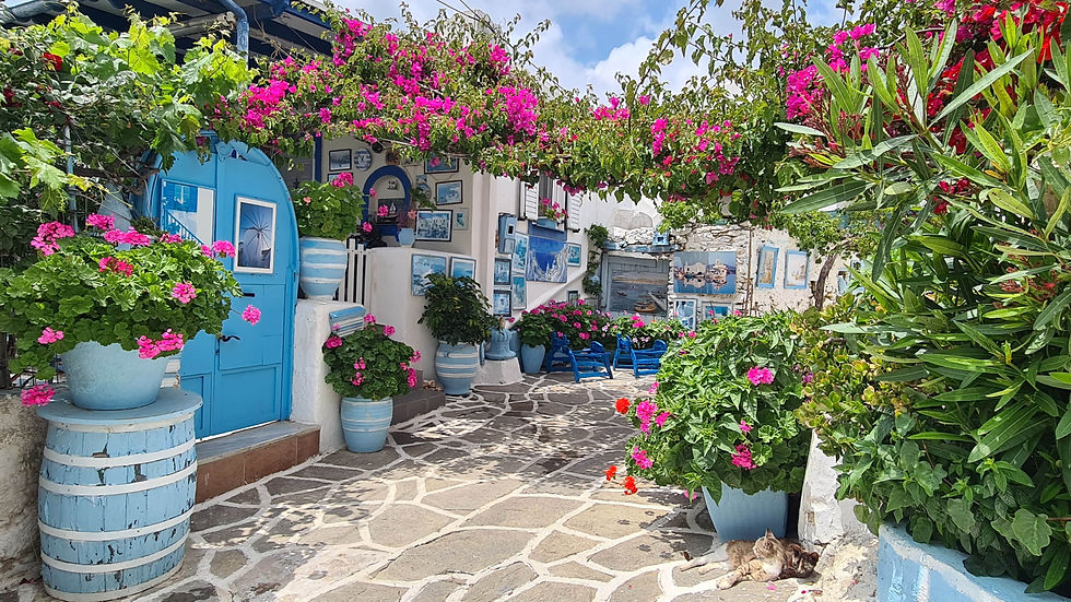 Prodromos Paros