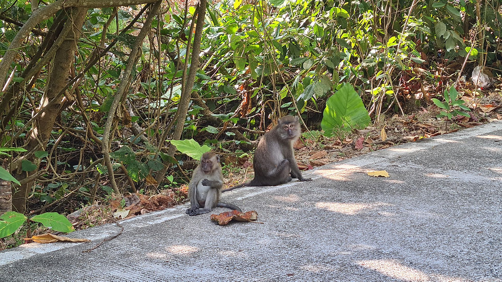 unterwegs in Koh Lanta