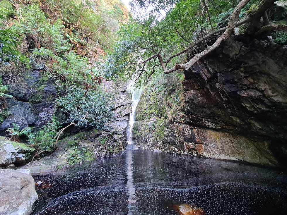 Leopards Kloof Wasserfall Garden Route