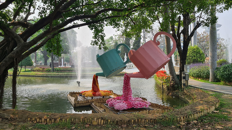 Nong Buak Haad Park Chiang Mai