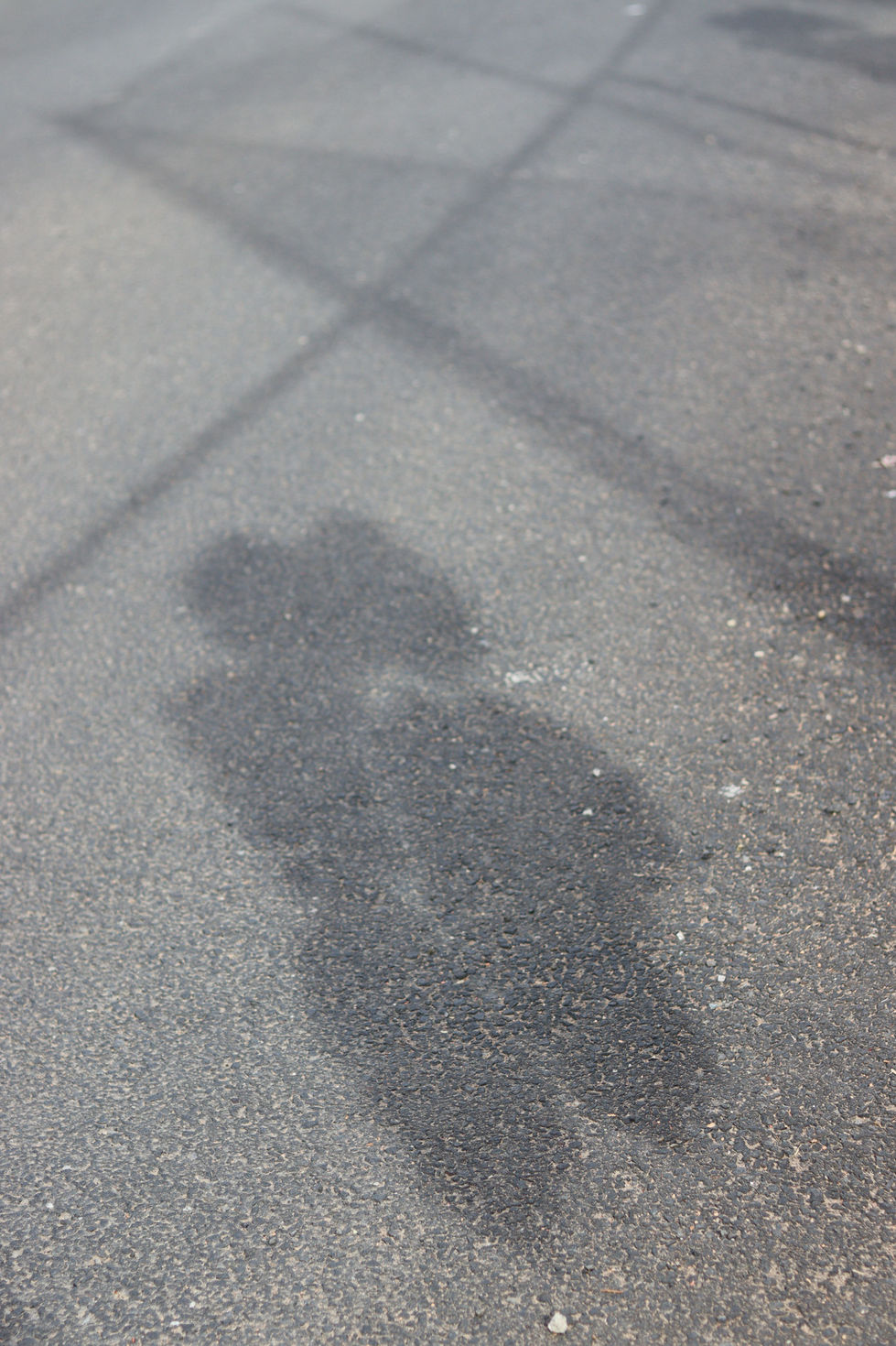 PHS paw silhouette