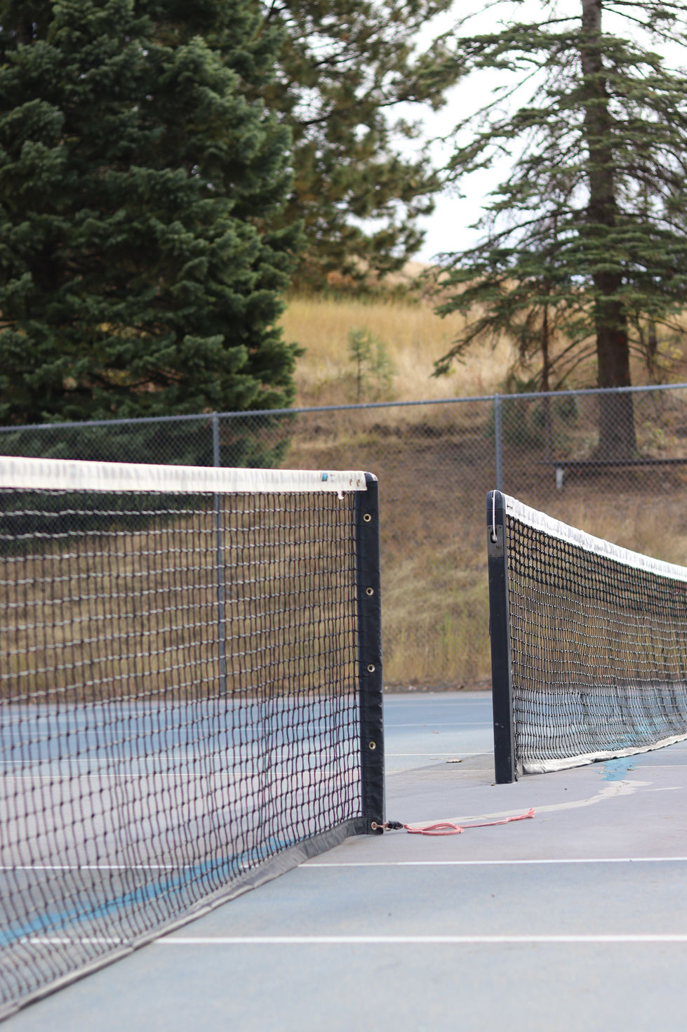 net serve