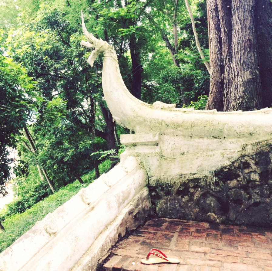 phou si flip flop