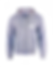 VBLI Zipper Hoodie Gray