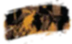 credits image.webp