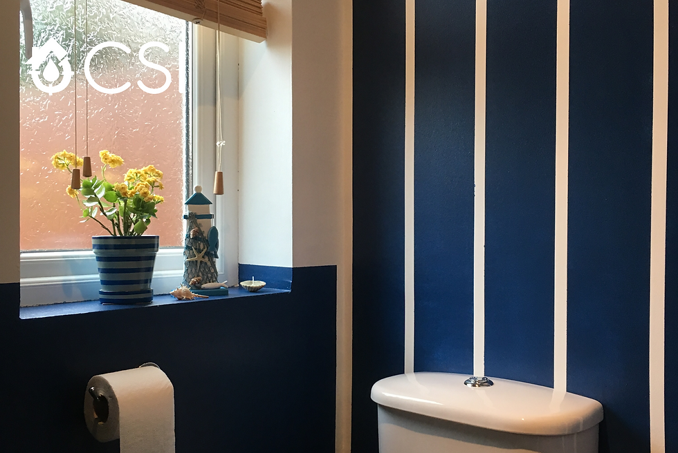A bathroom with blue and white striped walls. The walls are painted in a striped pattern, creating a vibrant and refreshing atmosphere.