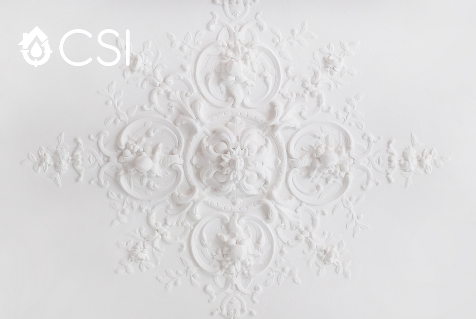 Elegant decorative design on a pristine white wall.
