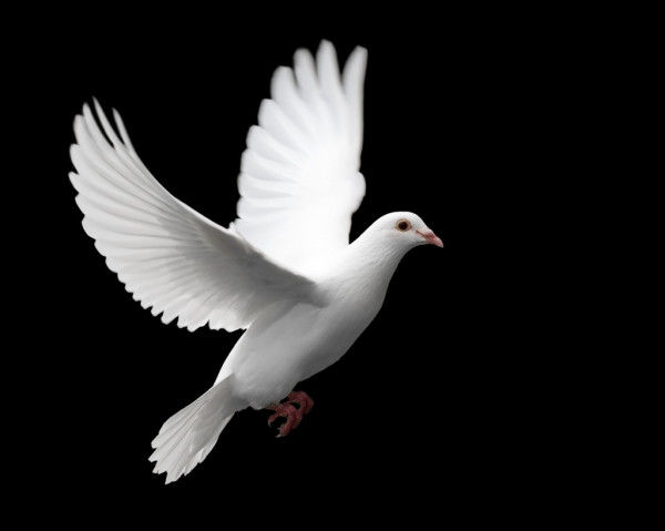 ree