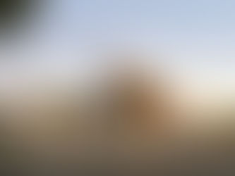 The story behind Baumhower’s Victory Grille’s 40+years of success - SoulGrown