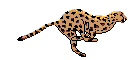 Мир энциклопедий