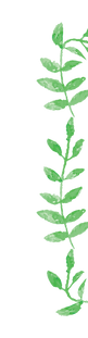 Plant Wreath 3